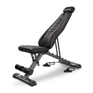 adjustable dumbbell bench